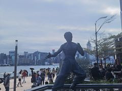 -星光大道