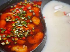 -新辣道鱼火锅(西直门店)