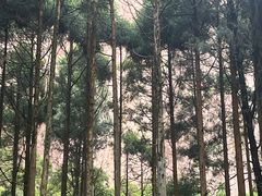 -雁荡山风景名胜区