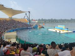 -秦皇岛乐岛海洋王国