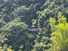 -靖西鹅泉风景区