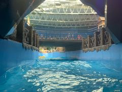 -青岛东方影都融创水世界