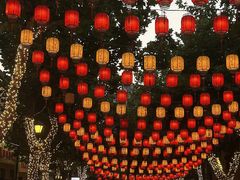 -上街里市集(悦喜客来广场店)