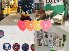 -藏猫猫咖啡主题馆(中央大道店)