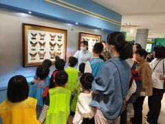 -上海昆虫博物馆