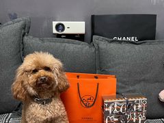 -爱马仕 HERMES(德基广场店)