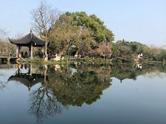 -西湖外事游船(花港观鱼码头)