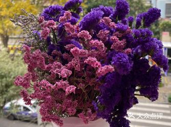 拍照日常/三块钱的快乐