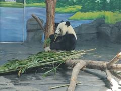 -秦皇岛野生动物园