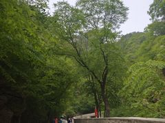 -北京上方山国家森林公园