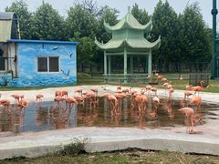 -秦皇岛野生动物园