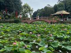 -广州莲花山旅游区