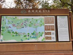 -南湖湿地公园