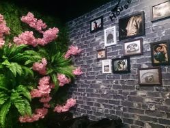-藤野造型·专业烫染店