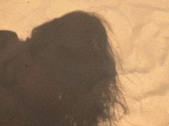 -亿利库布其七星湖沙漠生态旅游区