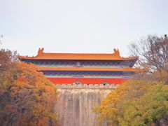 -南京大牌档(新街口德基广场店)