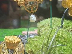 -国家会议中心大酒店-地上停车场