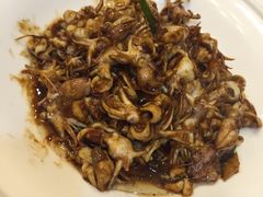 小海兔（酱焖）-品味居·首店·大连鲜活海鲜大连菜(东港店)