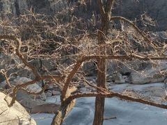 -崂山九水游览区