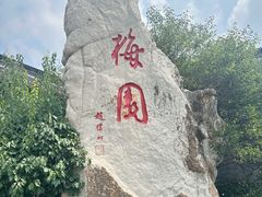 -梅园
