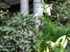 -西郊壹号