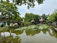 -洪湖家庭农场·团建·露营·会议