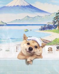 -STAR舞蹈工作室