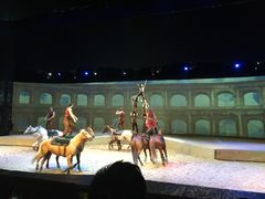 -cavalia·舞马