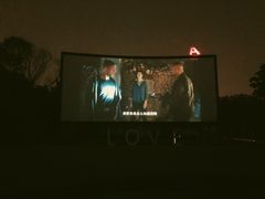-枫花园汽车电影院(朝阳公园店)