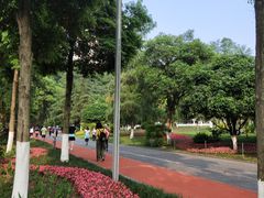 -龙头寺公园