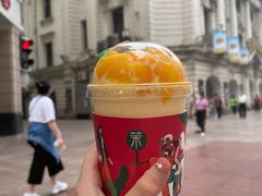 -茉酸奶(广西北路店)