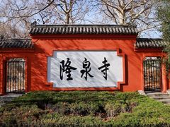 -百脉泉景区