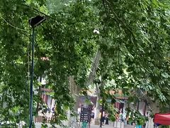 -洛阳市牡丹公园