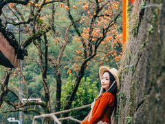 -丹山赤水风景名胜区