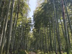 -天下银坑