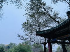 -万泉公园