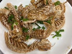 -红灯笼龙凤饭店(宁波老字号店)