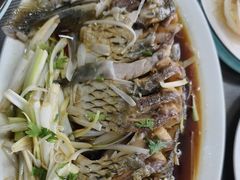-微山岛春天里酒家