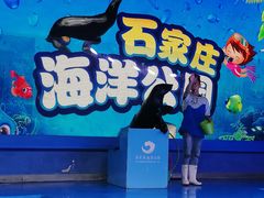 -石家庄海洋公园