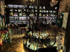 -雪灵魔法世界SHELLY’S TAROT(大良桂畔里店)