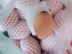 -佬钱湾仔(衣裳街店)