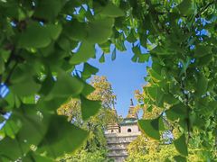 -北京石刻艺术博物馆(五塔寺)