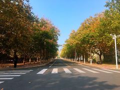 -山东大学(威海校区)
