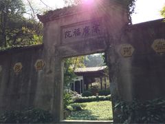 iphone_upload_pic-十八棵（老龙井）御茶园(老龙井店)