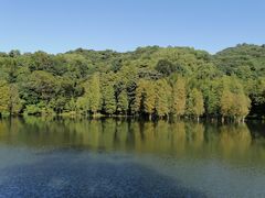 -广州市白云山风景名胜区