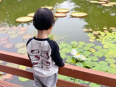 -国家植物园南园