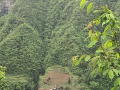 -鹿院坪生态旅游景区