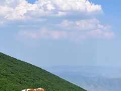 -灵山
