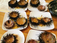 -海胆小馆(东北水饺·春柳店)