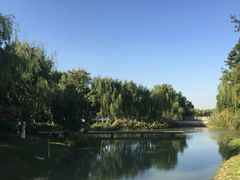 -昆山城市生态森林公园